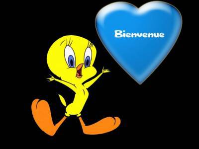 bienvenue